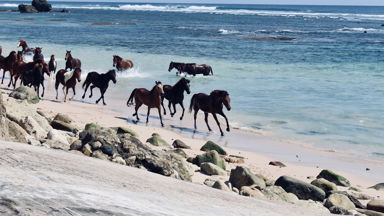 Slow Travel Sumba 2026: Cara Menikmati Liburan yang Tenang, Estetik, dan Lebih Bermakna